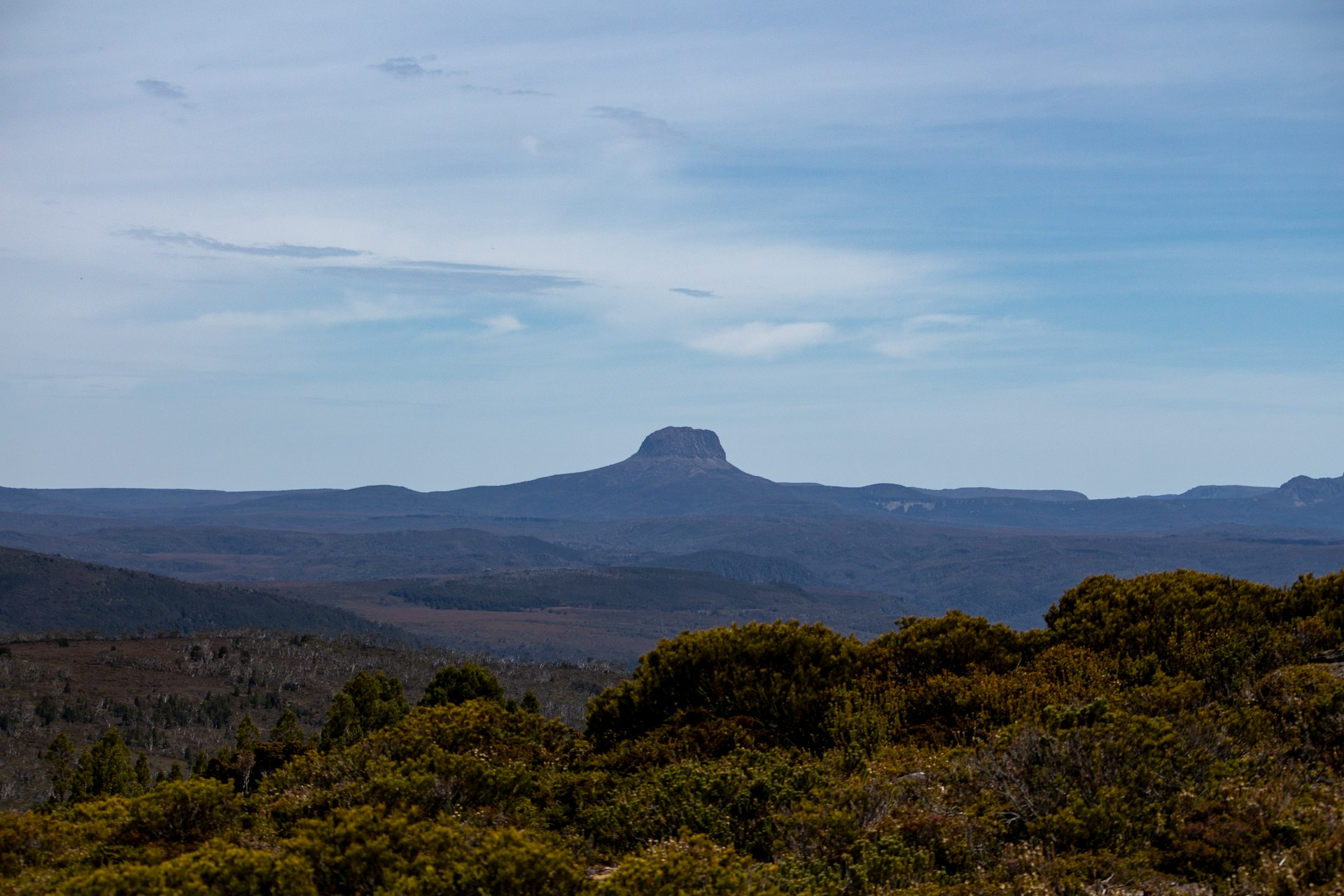 greenish landscap with mountain afar